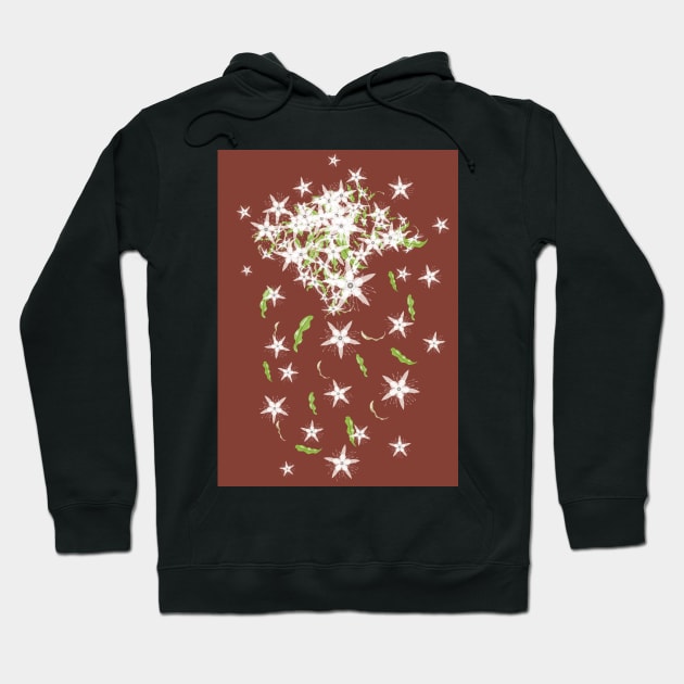 Syzygium anisatum - Flowers and Leaves of the Australian Aniseed Myrtle Tree Hoodie by karenmcfarland13